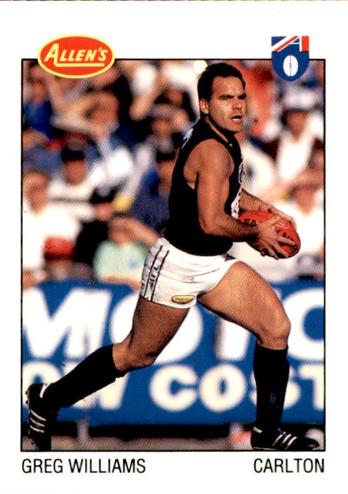 Greg Williams, 1994 Allens AFL