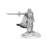 D&D Dungeons & Dragons Nolzurs Marvelous Miniatures Death Knights