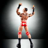 Randy Orton - WWE Elite Collection Action Figure