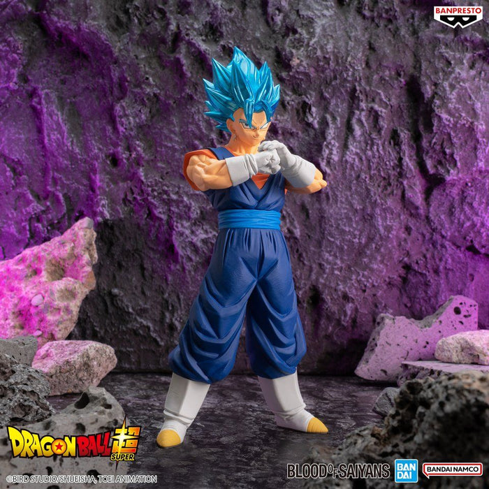 Dragon Ball Super Blood Of Saiyans Special XIX God Saiyan Vegito Figure