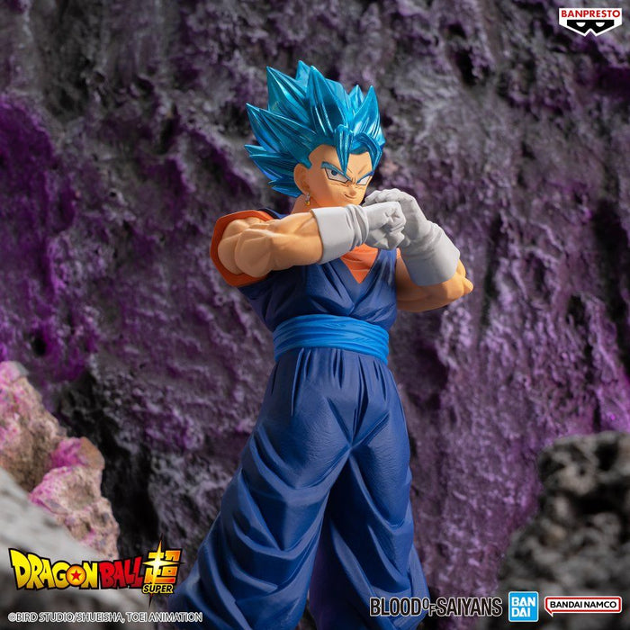 Dragon Ball Super Blood Of Saiyans Special XIX God Saiyan Vegito Figure