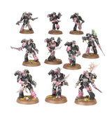 Warhammer 40,000 - 37-11, Emperor's Children, Tormentors