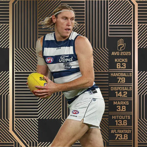 All AFL Footy Cards