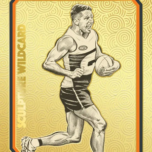 All AFL Footy Cards