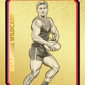 All AFL Footy Cards