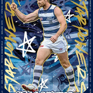 All AFL Footy Cards