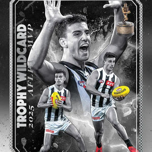 All AFL Footy Cards