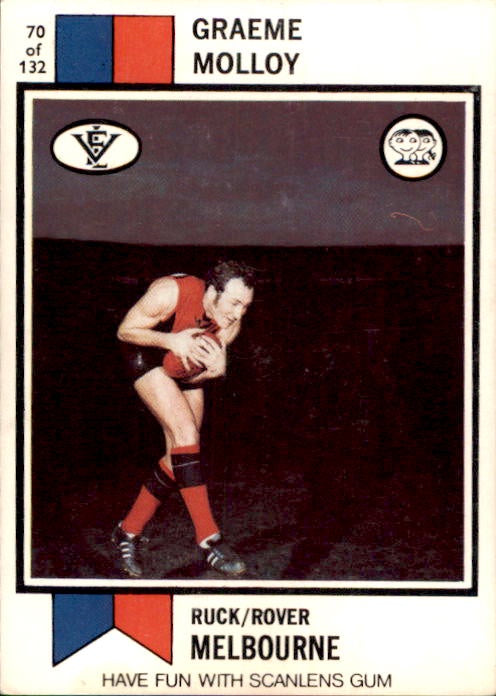 Graeme Molloy, 1974 Scanlens VFL