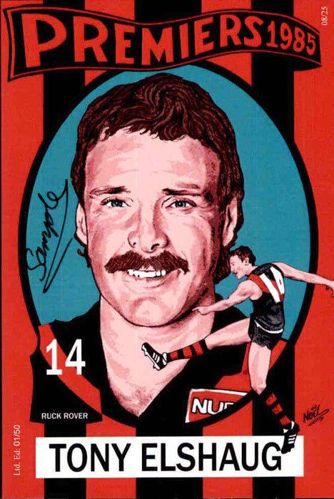 Essendon Bombers 1984-1985 Back to Back Premiers Card Set by Noel