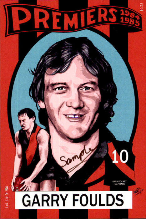 Essendon Bombers 1984-1985 Back to Back Premiers Card Set by Noel