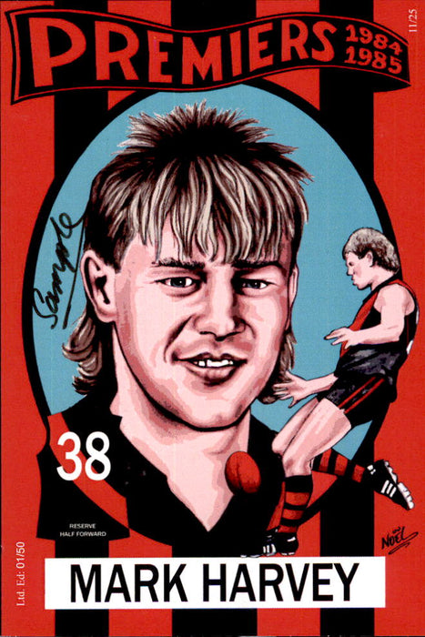 Essendon Bombers 1984-1985 Back to Back Premiers Card Set by Noel