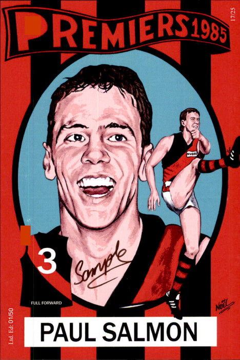 Essendon Bombers 1984-1985 Back to Back Premiers Card Set by Noel