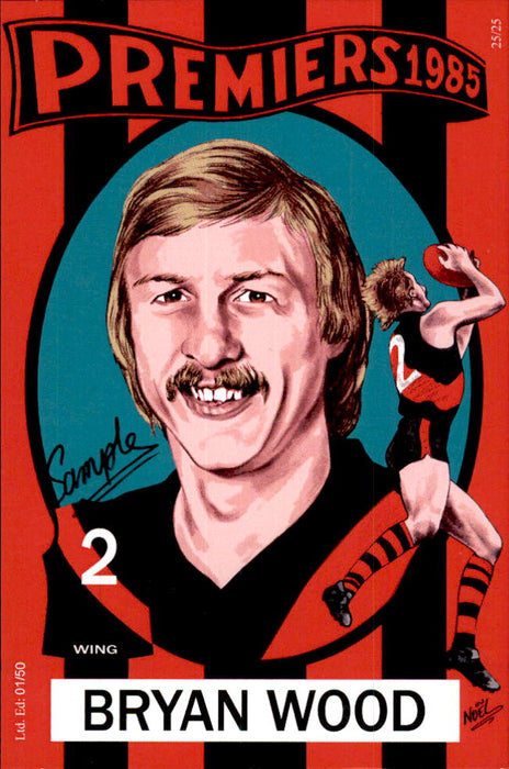 Essendon Bombers 1984-1985 Back to Back Premiers Card Set by Noel