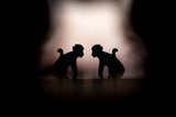 The Shadow Theater - The Legend of The Monkey King