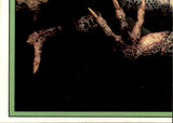 Gremlins 2 Sticker Set, 1990 Topps