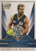 Mark Ricciuto, Brownlow Gallery, 2015 Select AFL Honours 2