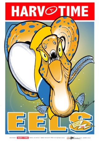 Parramatta Eels, NRL Mascot Harv Time Poster