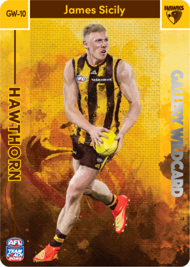 James Sicily, Gallery Wildcard, 2023 Teamcoach AFL