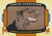 German Longhaired Pointer, Canine Companions, 2017 Upper Deck Goodwin Champions